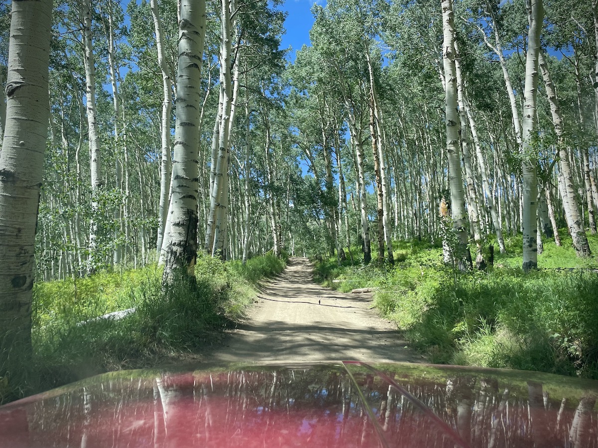 Last%20Dollar%20Road.jpg