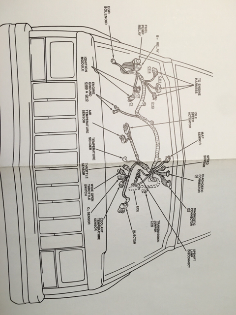 efd5a55da306262f6816191b409447d0.jpg