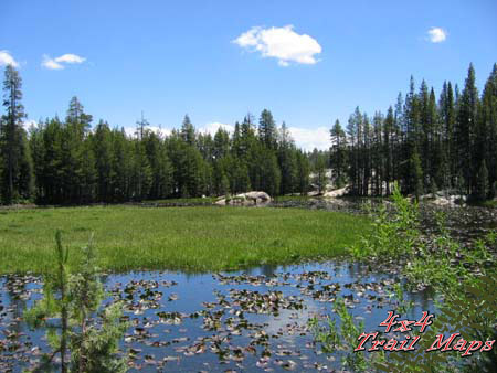 IMG_0435.jpg