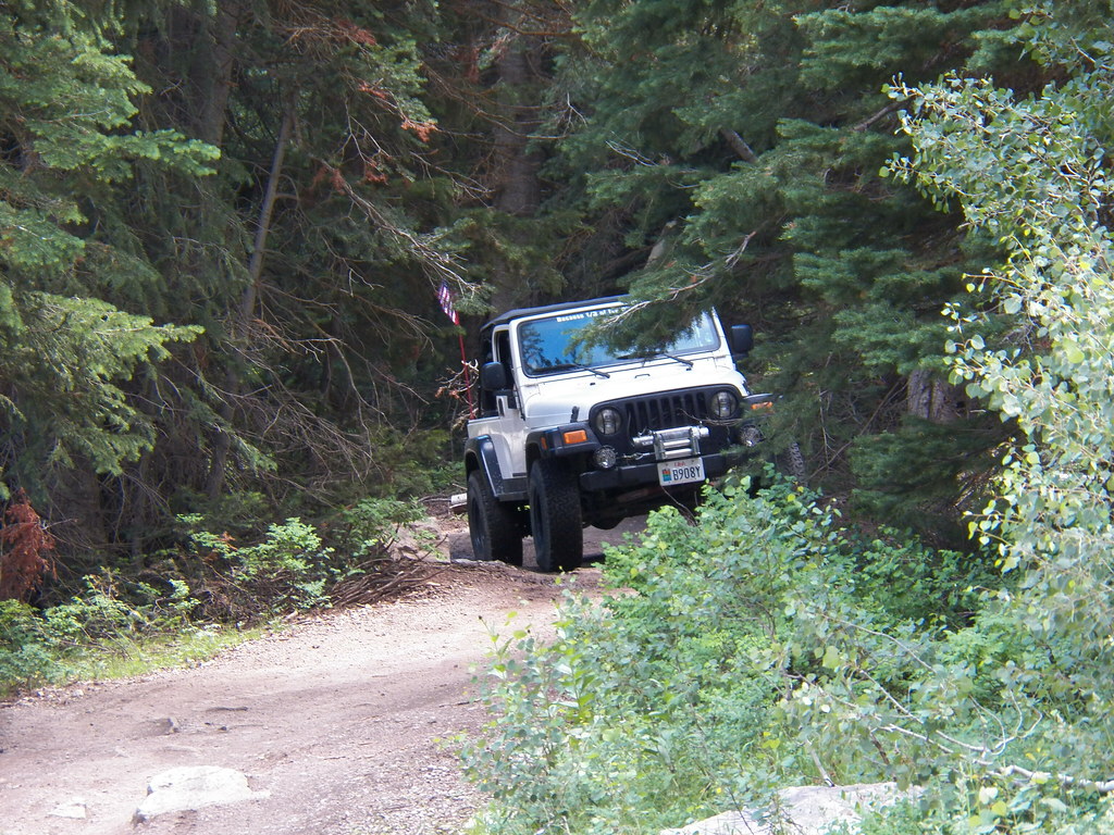 7533019850_2e1ab0259e_b.jpg
