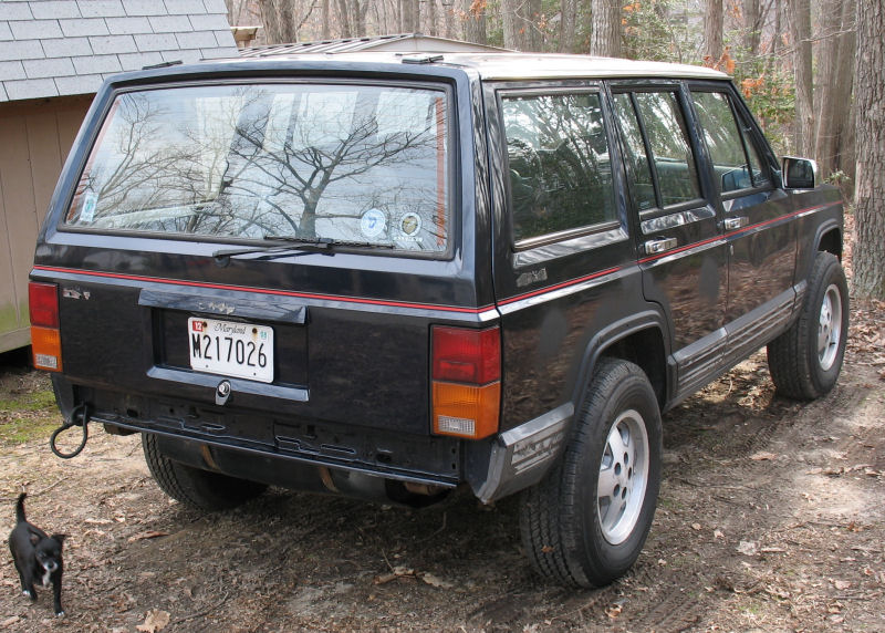 stripped-rear.jpg