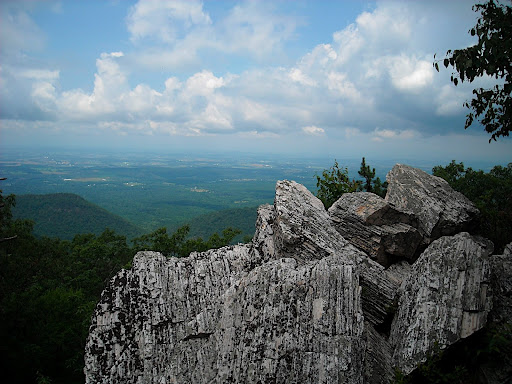 DSCN0393.JPG