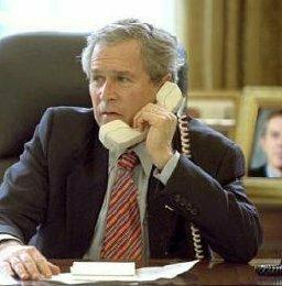 bushphone1.jpg