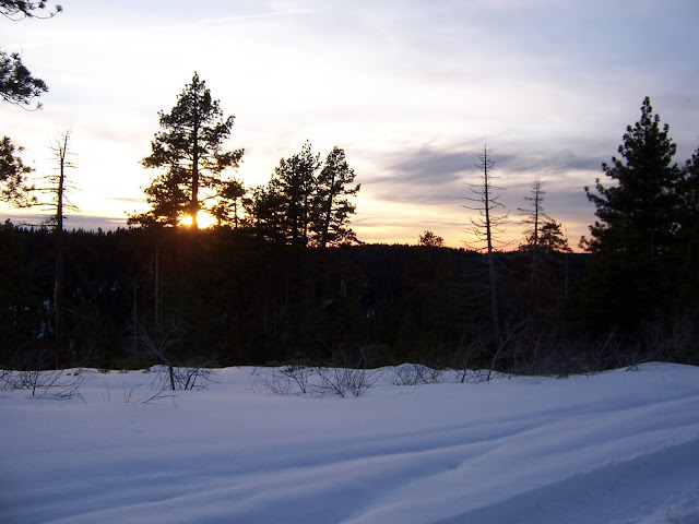 100_4120.JPG