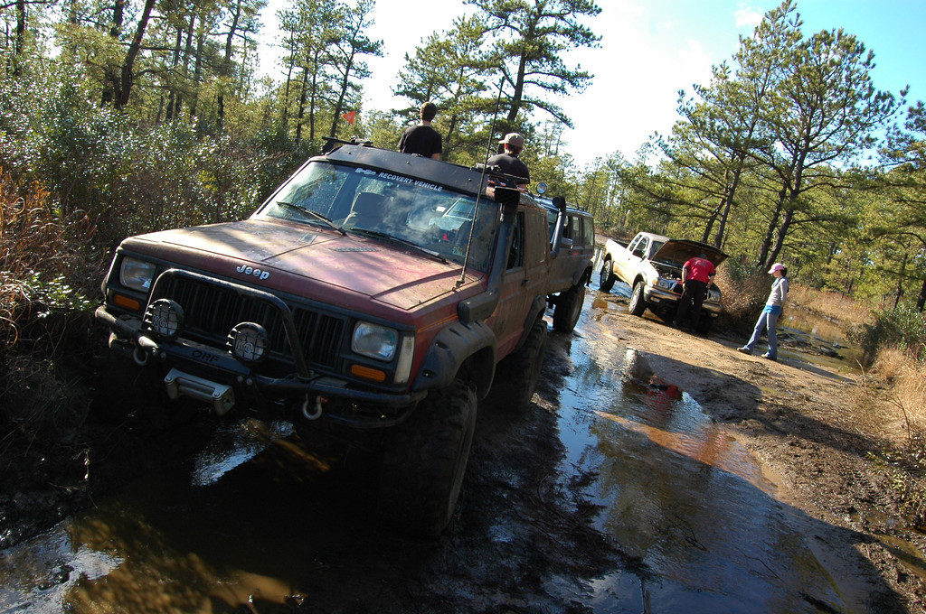122150342_5abs7-XL.jpg