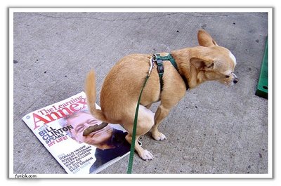 dog-pooping-on-president-clinton-thumb.jpg