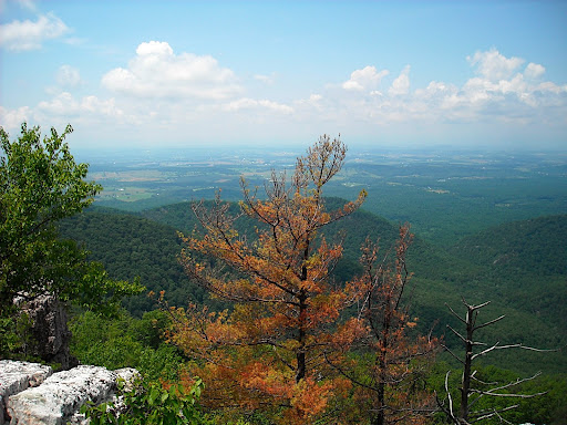 DSCN0401.JPG