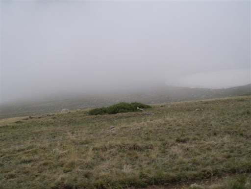 IMGP8692.JPG