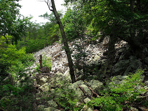 DSCN0388.JPG