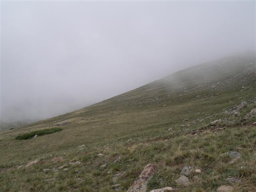 IMGP8690.JPG