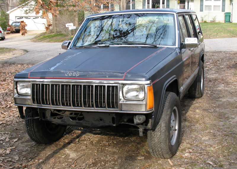 stripped-front.jpg