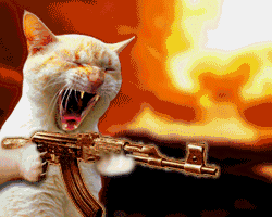machine_gun_cat.gif