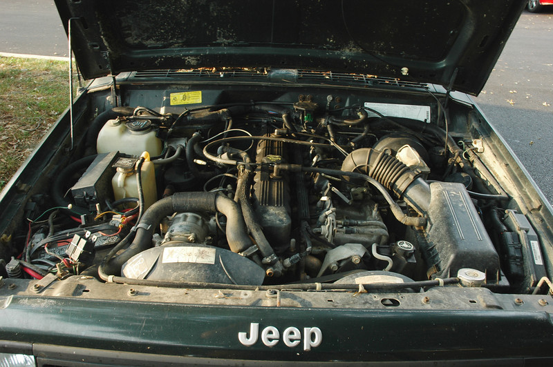 368348324_XW8op-L.jpg