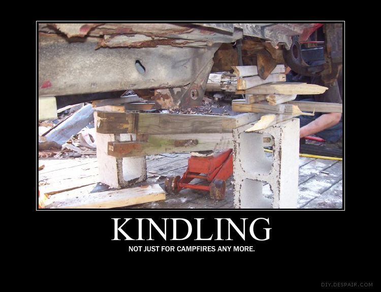 kindling.jpg