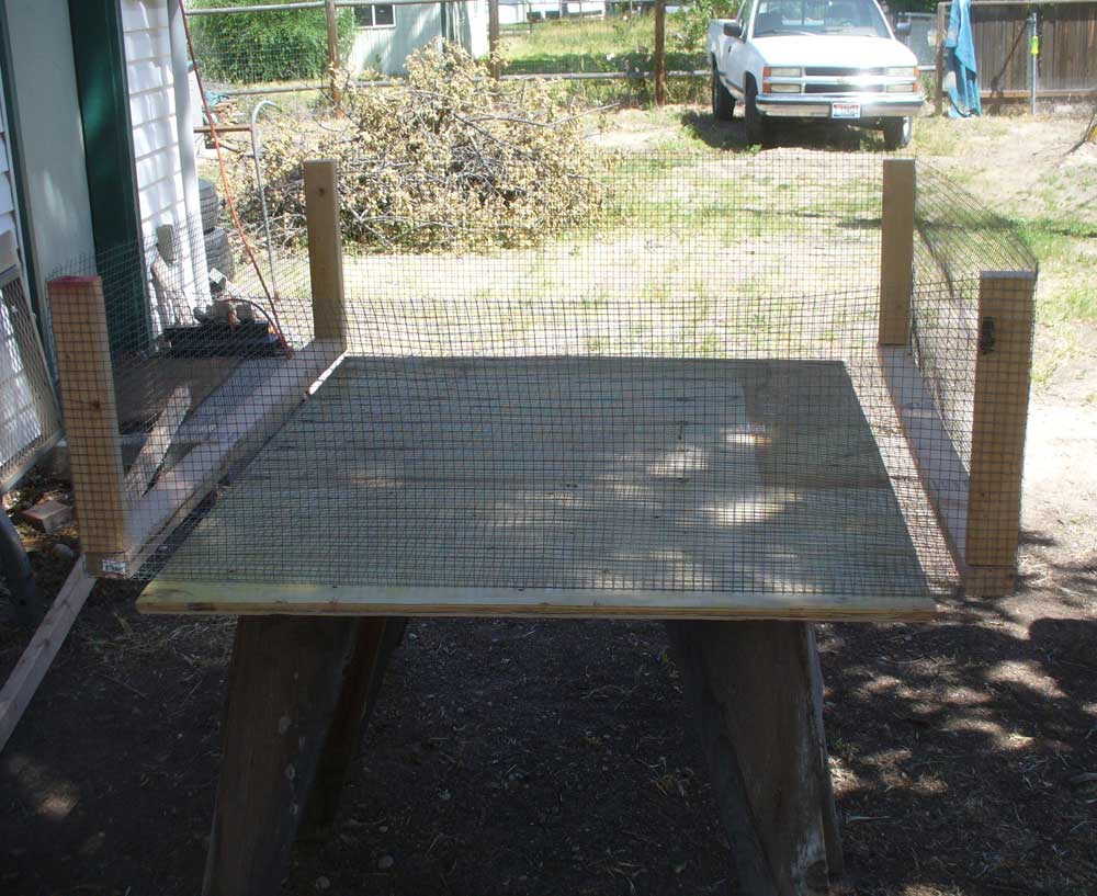 ToPlantAPearTree3OPT.jpg