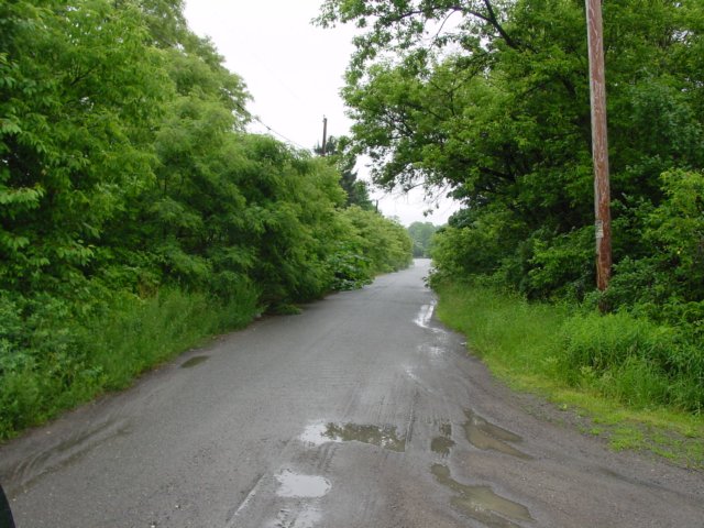 DSC00081.JPG