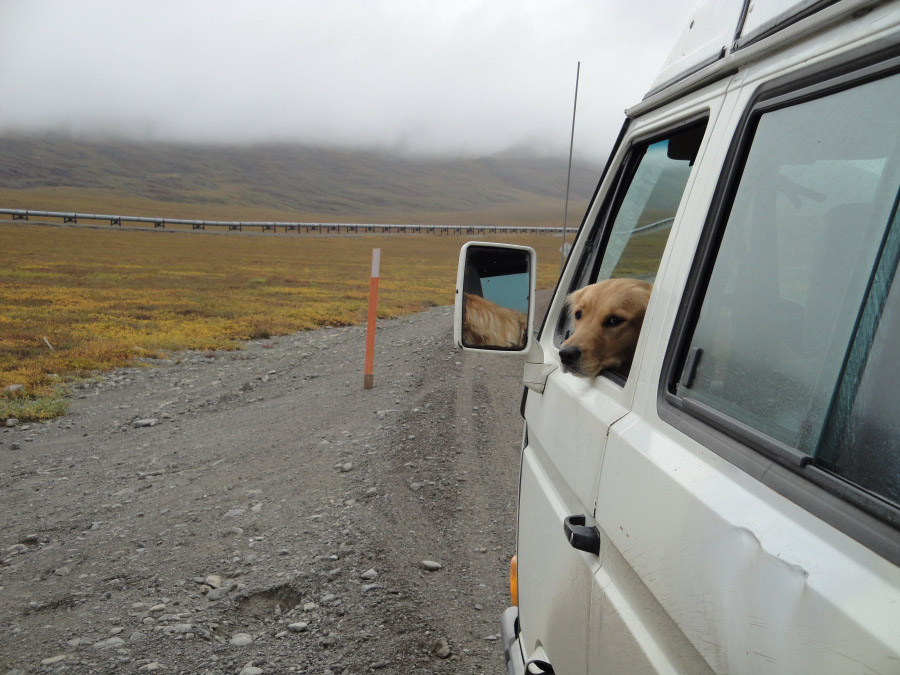 AK_0148.jpg