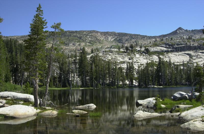 dsc_0018.jpg