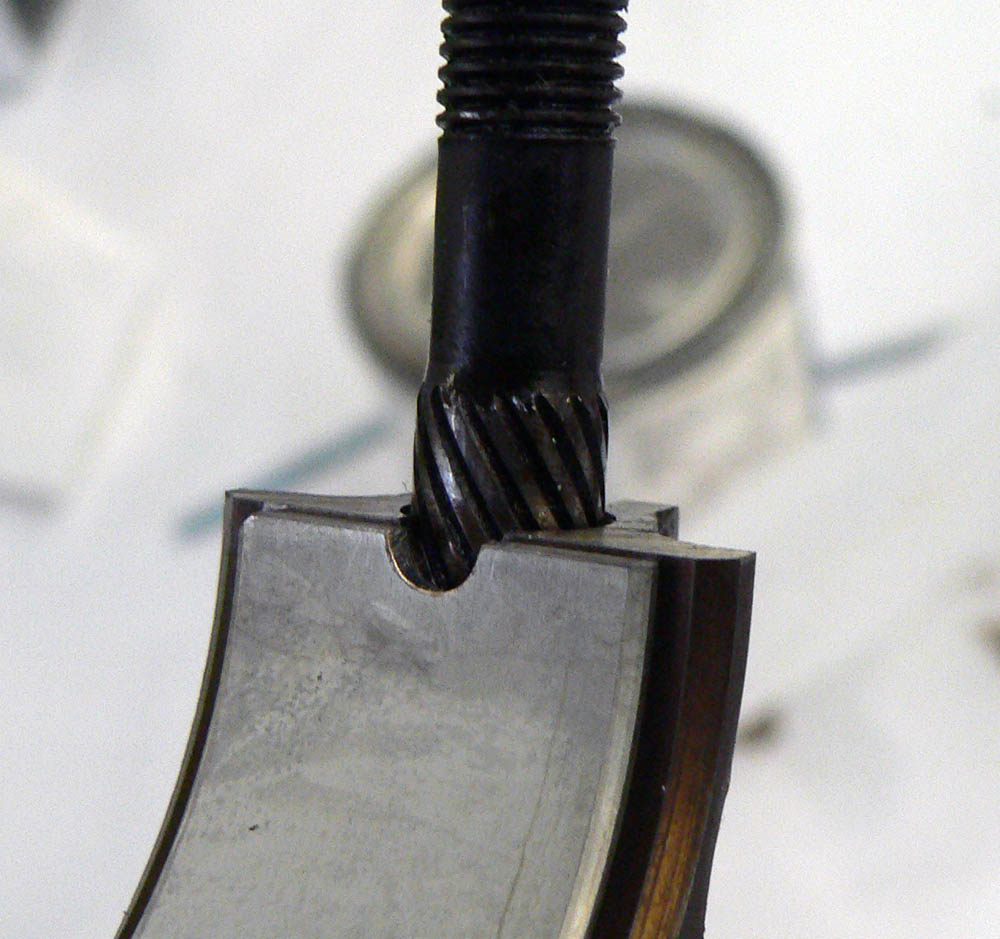 P1200309.JPG