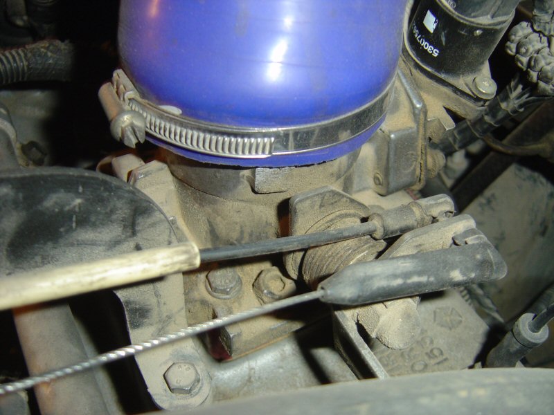 Mustang_TB_1.jpg