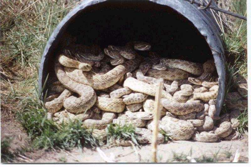 culvert2.jpg