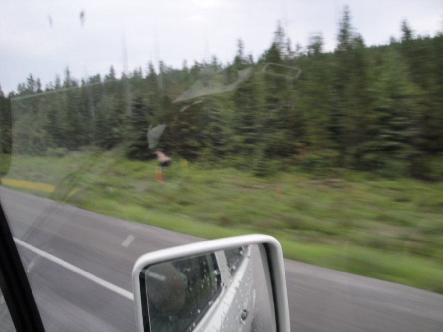 AK_0060.jpg
