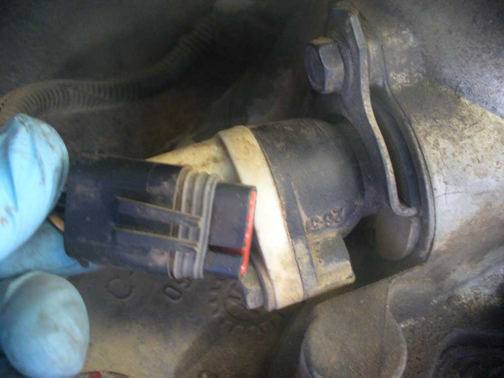 SCRAS54OPT.jpg