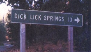 dicklick-vi.jpg