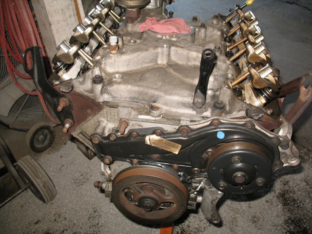Donor_Stripped.sized.jpg