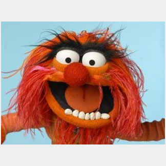 08_07_23_animal_muppet.jpg