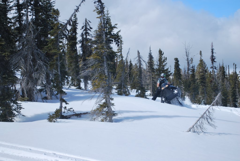 dsc_0514.jpg