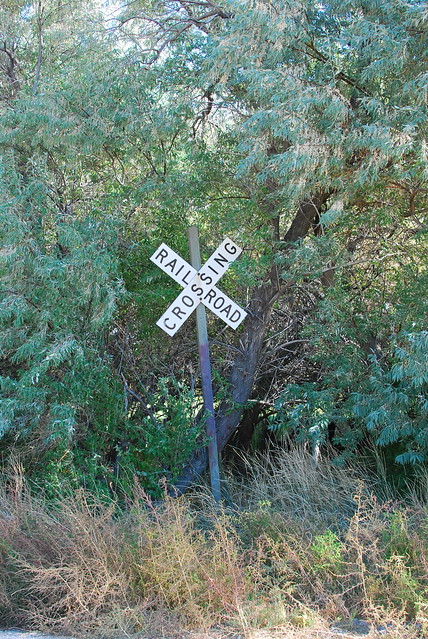 5069780607_855c508869_z.jpg