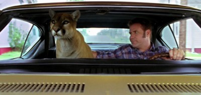 cougar.jpg