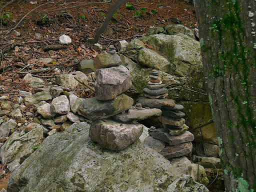 DSCN0449.JPG