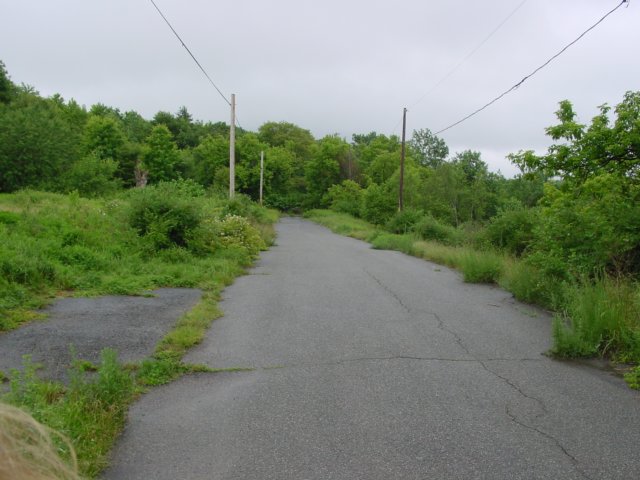 DSC00082.JPG