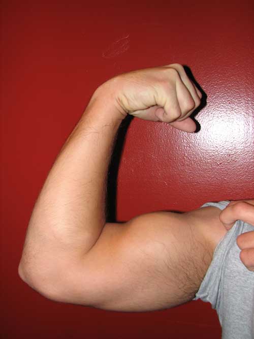 Arm_flex_supinate.jpg