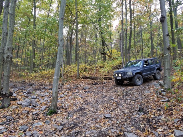 2016_10_22_AOAA_700s.sized.jpg