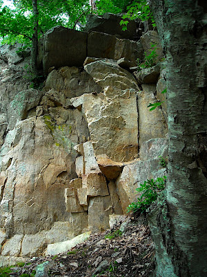 DSCN0446.JPG