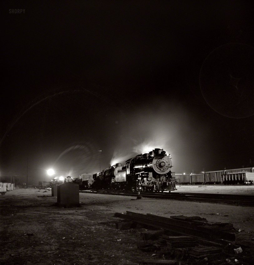 SHORPY_8d27499a1.preview.jpg