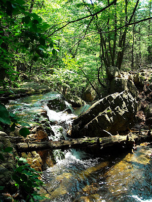 DSCN0421.JPG