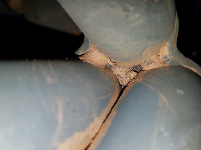 Thorley_Rust_2.sized.jpg