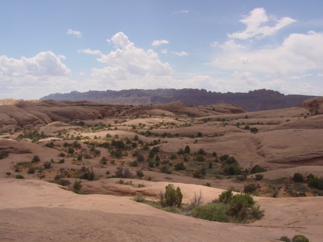 DSC00052.JPG