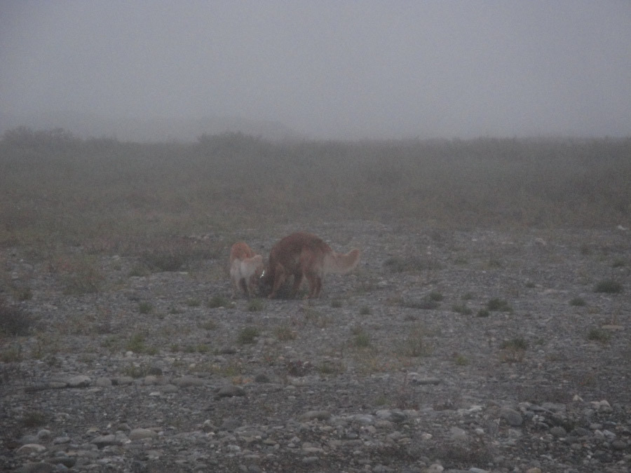 AK_0127.jpg