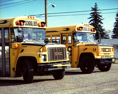 20100101121512%212GMBBCV200schoolbuses.jpg