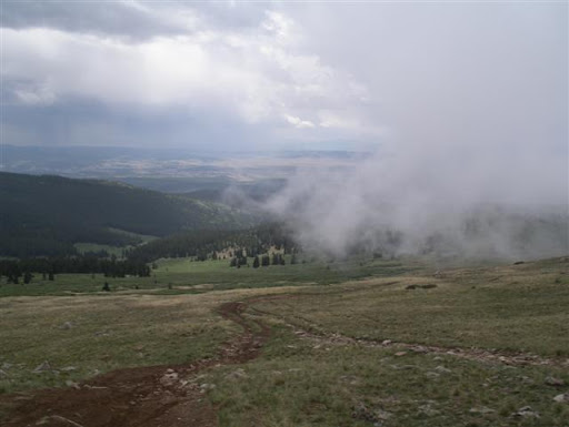 IMGP8691.JPG