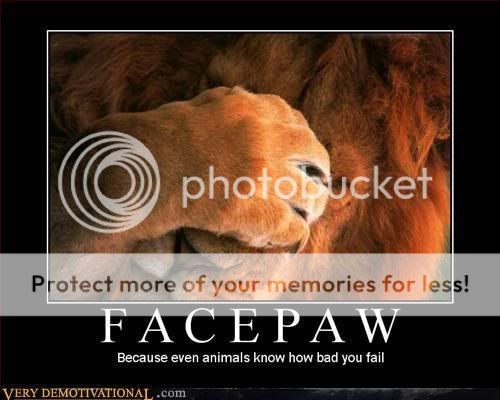 demotivational-poster-lion-facepaw.jpg
