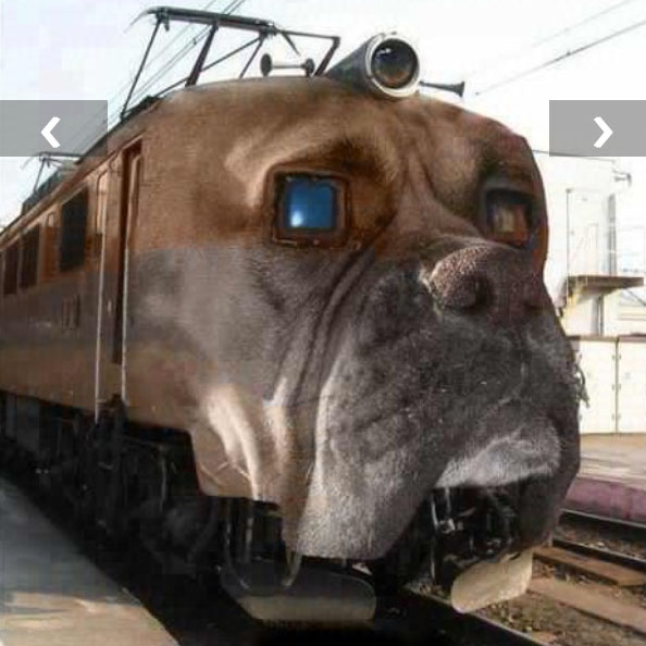 dog_on_train.jpg